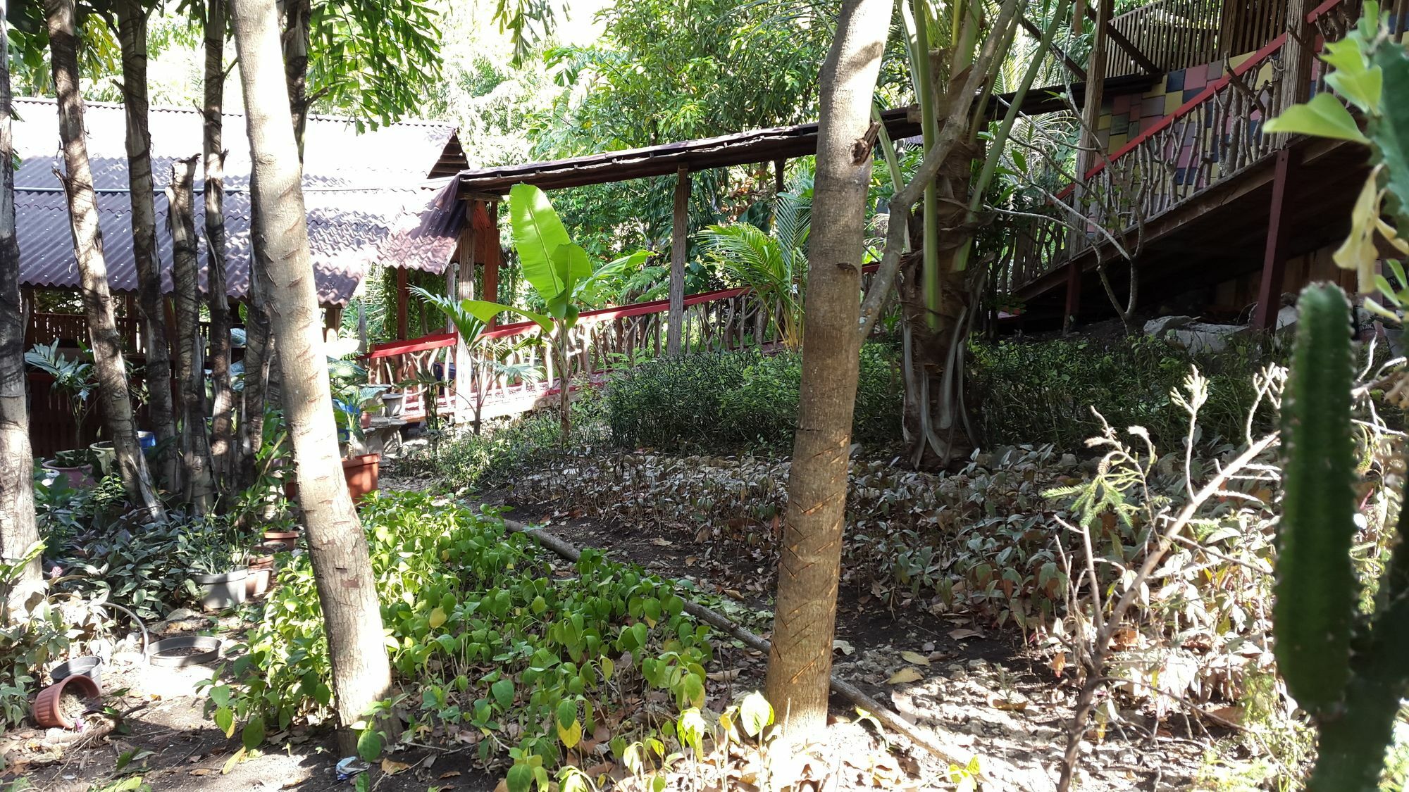 Centro Bajo Hotel & Resto Labuan Bajo Ngoại thất bức ảnh