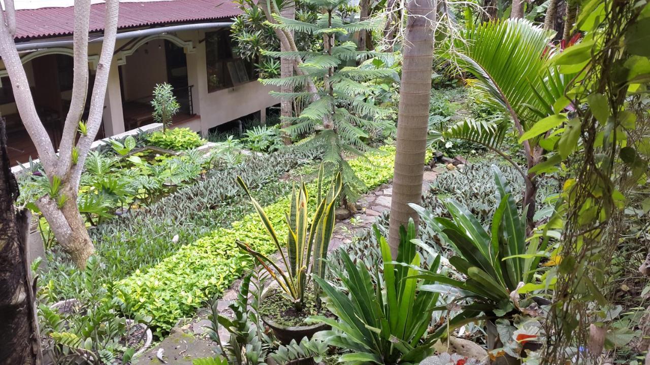 Centro Bajo Hotel & Resto Labuan Bajo Phòng bức ảnh